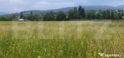 Teren 10.000 mp, intravilan, zona Neagra Sarului 