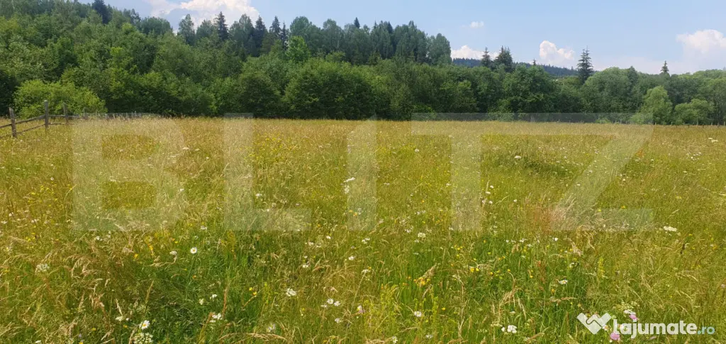 Teren 10.000 mp, intravilan, zona Neagra Sarului