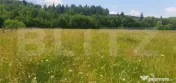 Teren 10.000 mp, intravilan, zona Neagra Sarului 