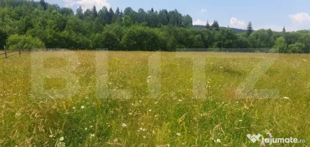 Teren 10.000 mp, intravilan, zona Neagra Sarului