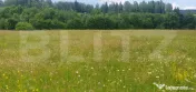 Teren 10.000 mp, intravilan, zona Neagra Sarului 