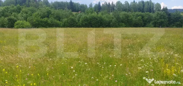 Teren 10.000 mp, intravilan, zona Neagra Sarului