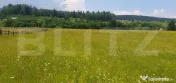 Teren 10.000 mp, intravilan, zona Neagra Sarului 