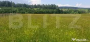 Teren 10.000 mp, intravilan, zona Neagra Sarului 