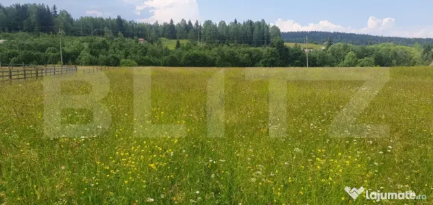 Teren 10.000 mp, intravilan, zona Neagra Sarului