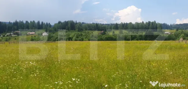 Teren 10.000 mp, intravilan, zona Neagra Sarului