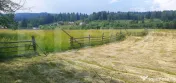 Teren 10.000 mp, intravilan, zona Neagra Sarului 