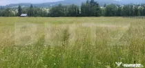 Teren 10.000 mp, intravilan, zona Neagra Sarului