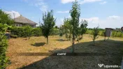 Casă noua de vanzare in Miresu Mare langa centrul de ech... 