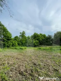 Teren intravilan, 1000mp , Com. Roma - Botoșani 