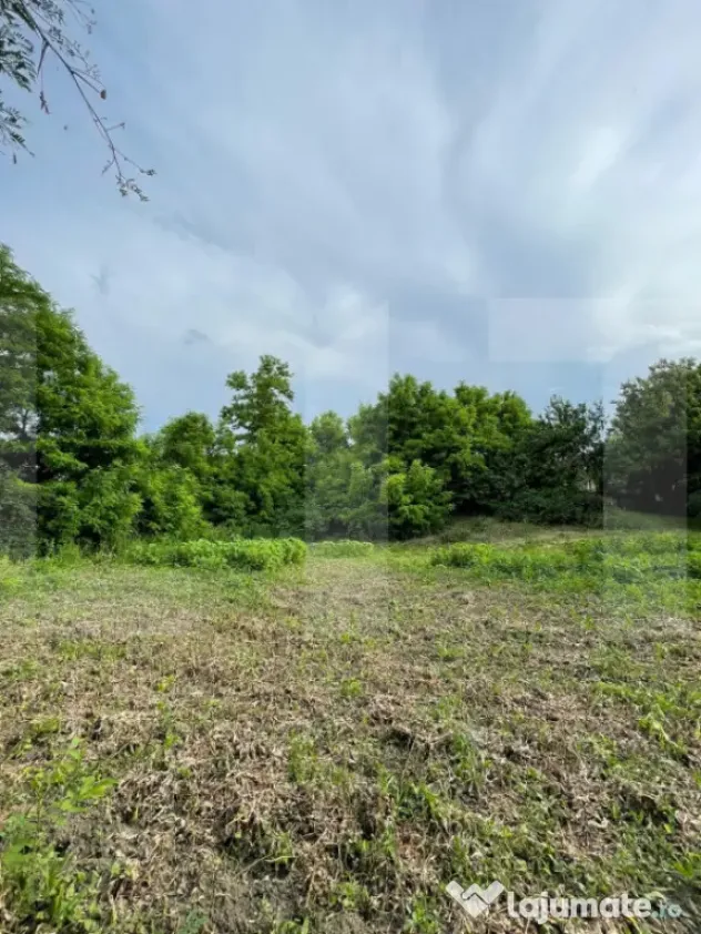 Teren intravilan, 1000mp , Com. Roma - Botoșani