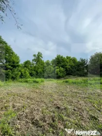 Teren intravilan, 1000 mp, Com. Roma - Botoșani