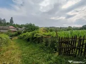 De vânzare: casă cu personalitate, nu cu pretenții!