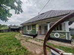 Vând casă bătrânească cu 3300 mp teren in Țârdenii Mari, Blagesti