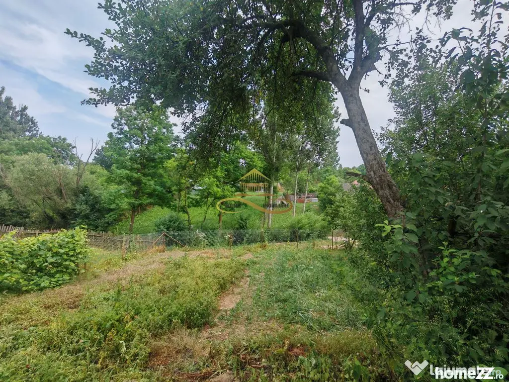 Vând casă bătrânească cu 3300 mp teren in Țârdenii Mari, Blagesti - Tardenii Mari (Bacau)