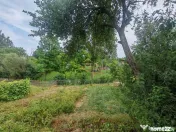 Vând casă bătrânească cu 3300 mp teren in Țârdenii Mari, Blagesti