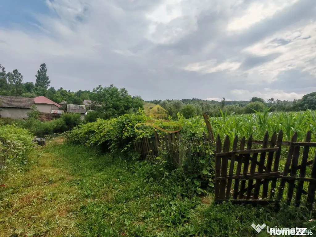 Vând casă bătrânească cu 3300 mp teren in Țârdenii Mari, Blagesti - Tardenii Mari (Bacau)