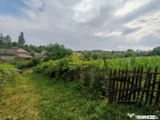 Vând casă bătrânească cu 3300 mp teren in Țârdenii Mari, Blagesti