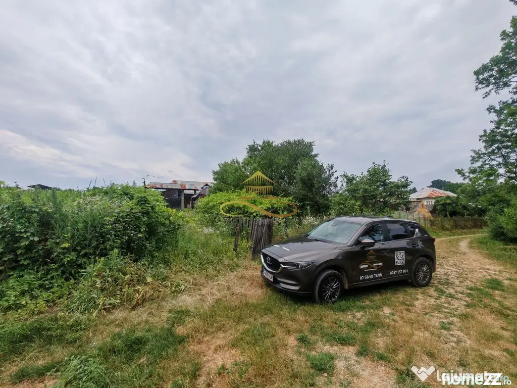 Vând casă bătrânească cu 3300 mp teren in Țârdenii Mari, Blagesti - Tardenii Mari (Bacau)