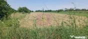 Săbăreni, teren intravilan 665 mp, aproape de DJ 602 