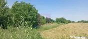 Săbăreni, teren intravilan 665 mp, aproape de DJ 602 