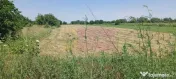Săbăreni, teren intravilan 665 mp, aproape de DJ 602 