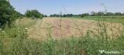 Săbăreni, teren intravilan 665 mp, aproape de DJ 602 