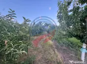 Casă de vânzare în Comuna Orodel – proprietate îngr... 