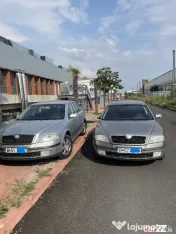 SKODA Octavia 2, 2008, 1,9 TDI, 140CP, bine intretinute 3000 si 3500 euro 