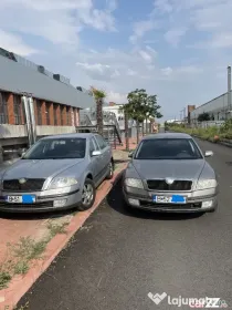 SKODA Octavia 2, 2008, 1,9 TDI, 140CP, bine intretinute 3000 si 3500 euro