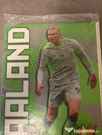 Revista Match + pachet 8 carduri WC 2026 