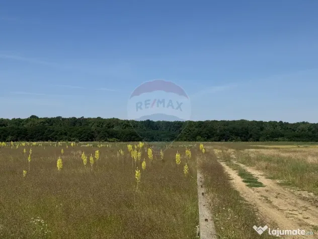 Teren dezvoltare imobiliară rezidențială Pipera lâng?...