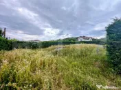 Teren intravilan, Micesti, partea cu padurea