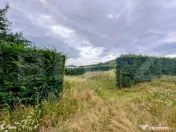 Teren intravilan, Micesti, partea cu padurea