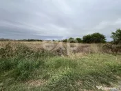 Teren industrial premium 15.000 mp la DN61 lângă Centura G 