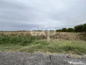 Teren intravilan premium 15.000 mp la DN61 lângă Centura G 