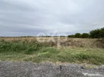 Teren intravilan premium 15.000 mp la DN61 lângă Centura G