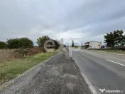 Teren intravilan premium 15.000 mp la DN61 lângă Centura G 