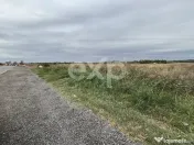 Teren intravilan premium 15.000 mp la DN61 lângă Centura G 