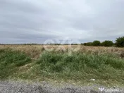 Teren industrial premium 15.000 mp la DN61 lângă Centura G 