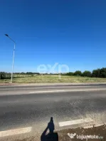 Teren intravilan premium 15.000 mp la DN61 lângă Centura G