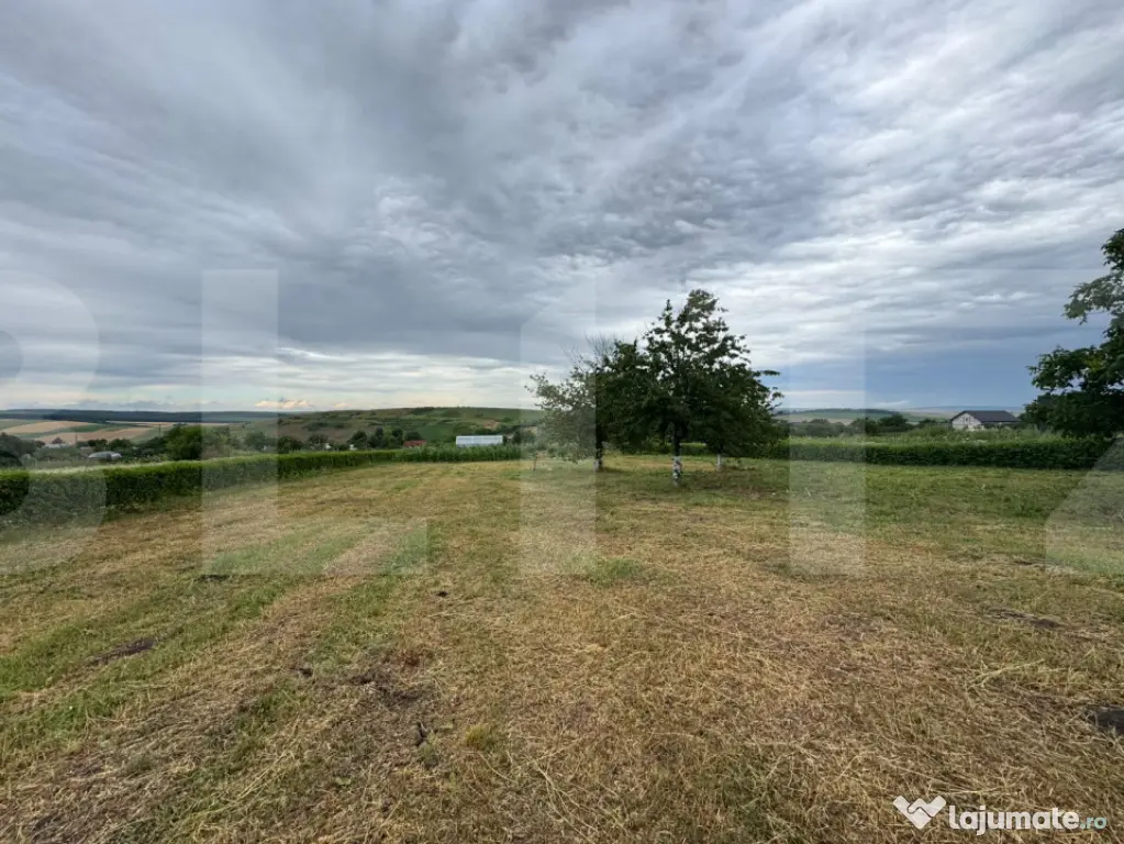 Teren intravilan de vânzare 3.786 mp, Zaicești