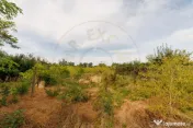 Casa+teren 2.140 mp de vanzare – Ciesti, Lunca Corbului–