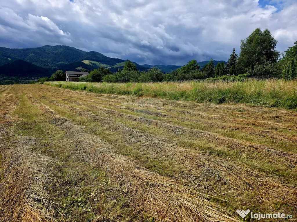 Teren 600mp Viisoara / Strada Primaverii