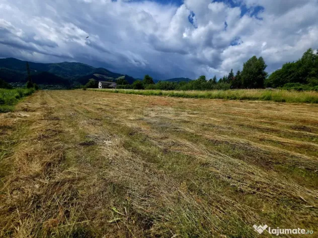 Teren 600mp Viisoara / Strada Primaverii