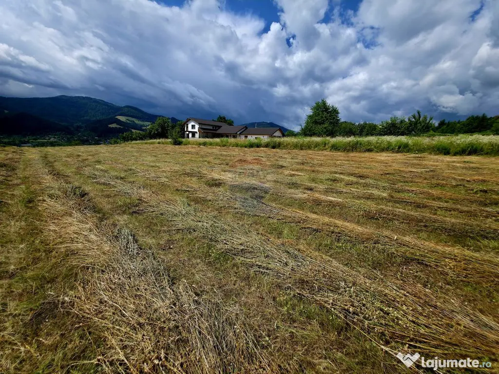 Teren 600mp Viisoara / Strada Primaverii