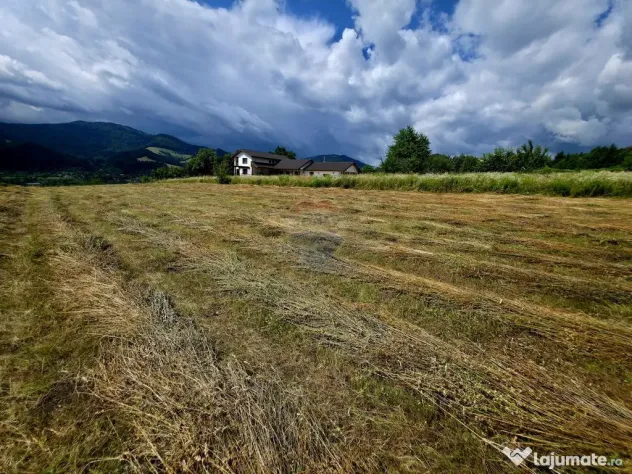 Teren 600mp Viisoara / Strada Primaverii