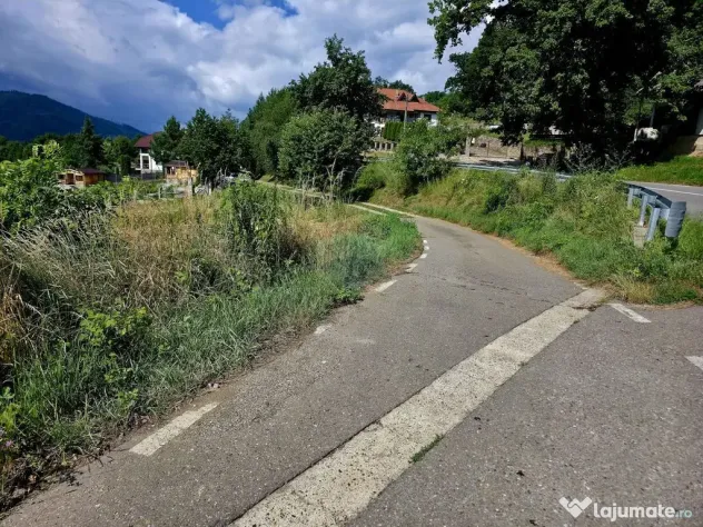 Teren 600mp Viisoara / Strada Primaverii