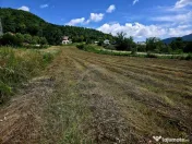 Teren 600mp Viisoara / Strada Primaverii 