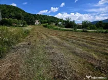 Teren 600mp Viisoara / Strada Primaverii